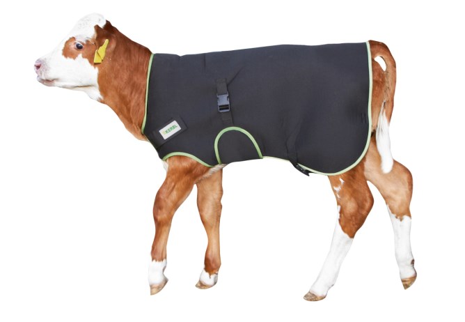 Calf Care jacket